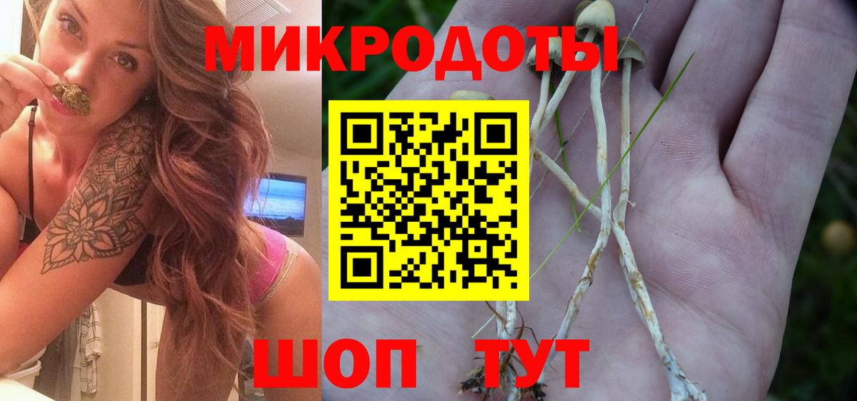 Галлюциногенные грибы GOLDEN TEACHER  Вход с VPN  Заводоуковск 